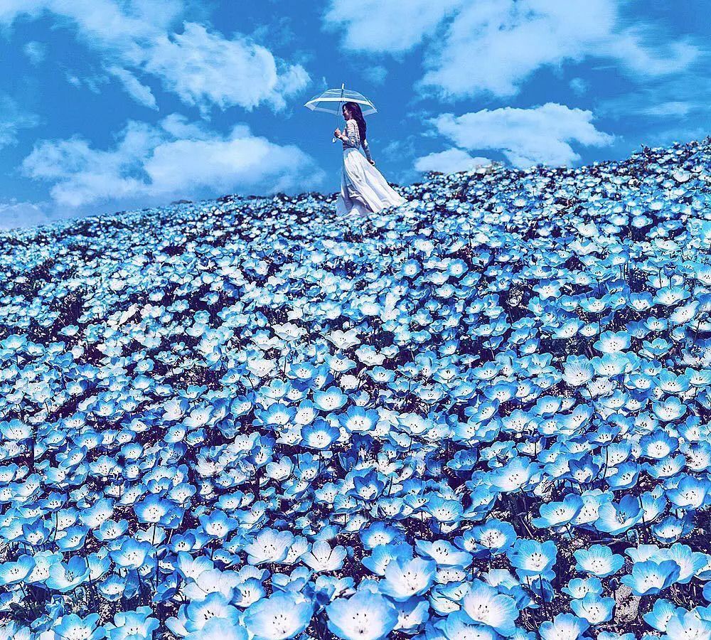 绝美大片，<a href=