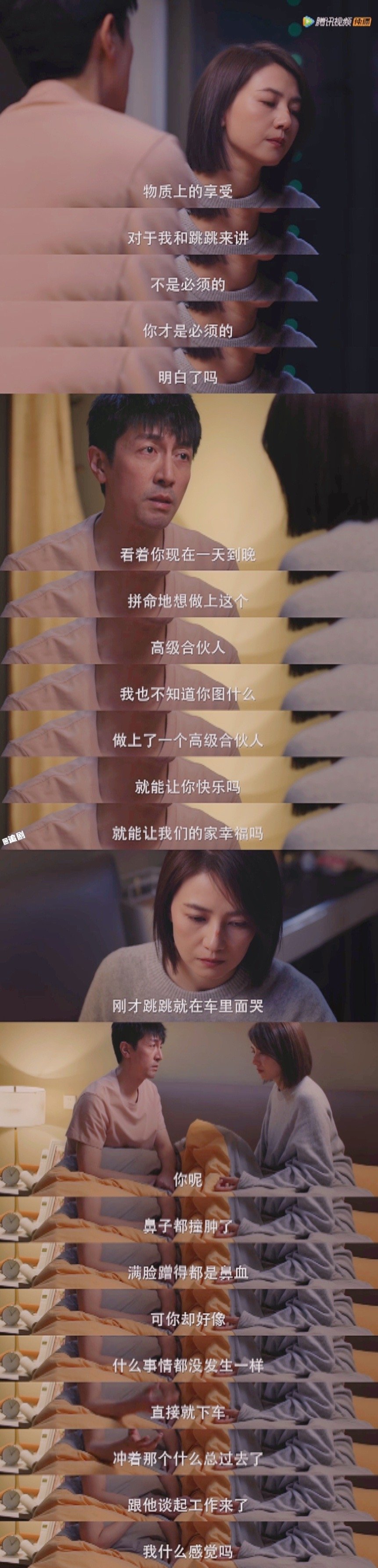 完美伴侣