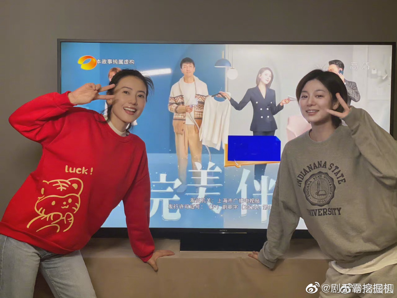 完美伴侣
