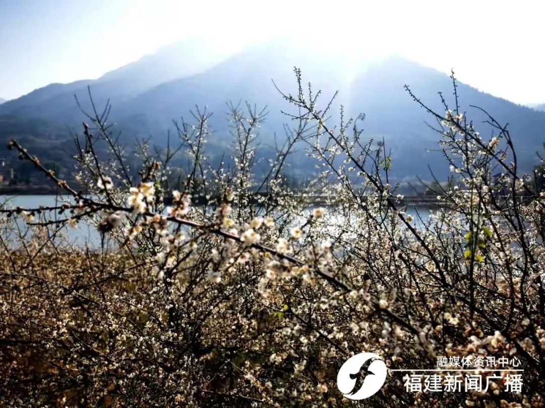 西安处理“孕妇流产”事件相关责任人【新闻热榜】休闲区蓝鸢梦想 - Www.slyday.coM 西安处理“孕妇流产”事件相关责任人【新闻热榜】休闲区蓝鸢梦想 - Www.slyday.coM