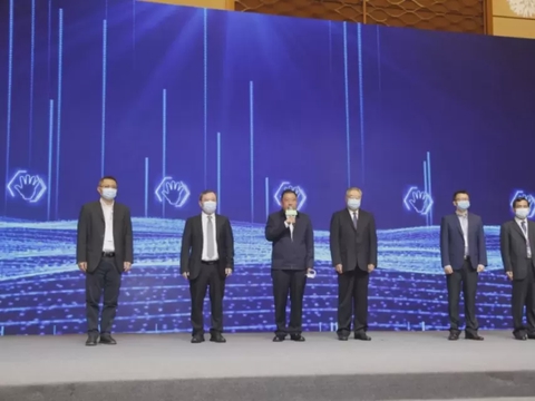 王侠谈新能源市场变化：新能源退坡30%，光储存，电池银行…