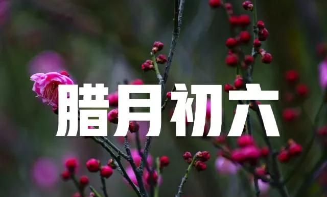 今日腊月初六农谚腊六遇双金见雪地丰收咋说下雪好吗
