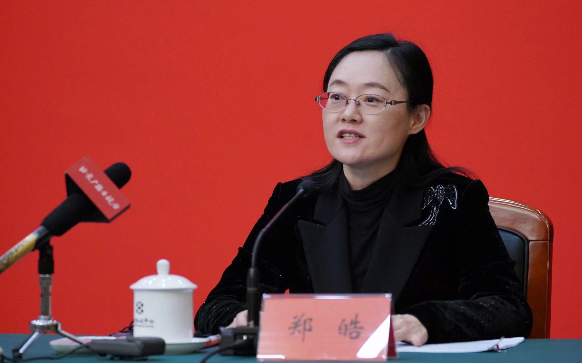 北京市通州区委常委郑皓.新京报记者 王飞 摄