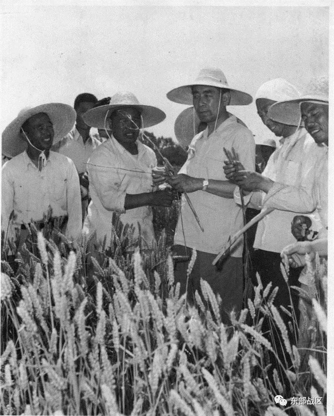 46年了,敬爱的周总理,我们永远怀念您……休闲区蓝鸢梦想 - Www.slyday.coM 46年了,敬爱的周总理,我们永远怀念您……休闲区蓝鸢梦想 - Www.slyday.coM