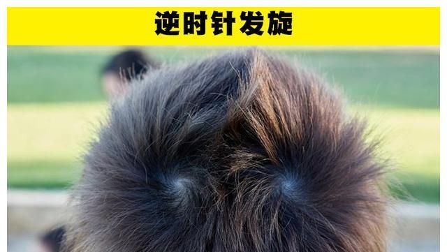 NASA紧急调查：南大西洋异常区域正急速扩张，到底...