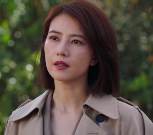 完美伴侣四大女神高圆圆还是那么美但最有气场的是邬君梅