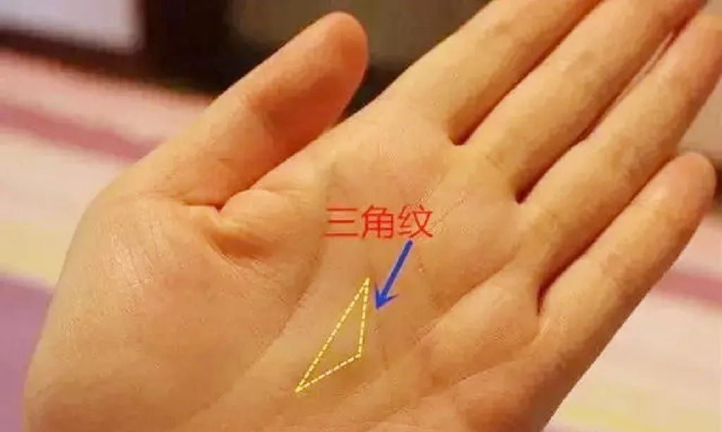 俗语三角纹在手富到九十九有道理吗古人的识人经验