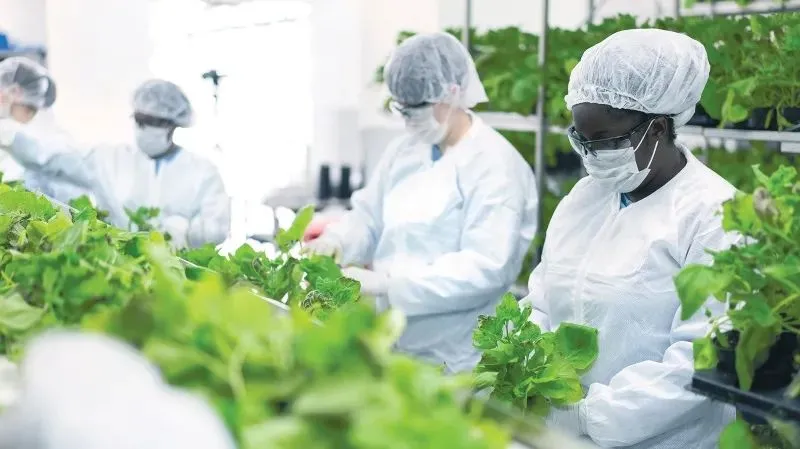 对变种有效率高达88.6%！<a href=