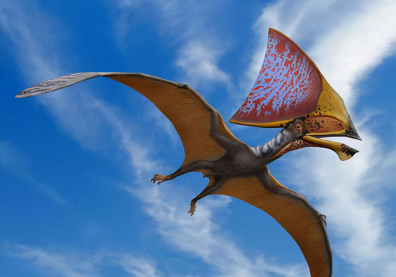 翼龙（会飞的恐龙）Maya模型，纹理丰富Pteranodon (flying dinosaur) full rig - CG模型 - 微妙网 ...