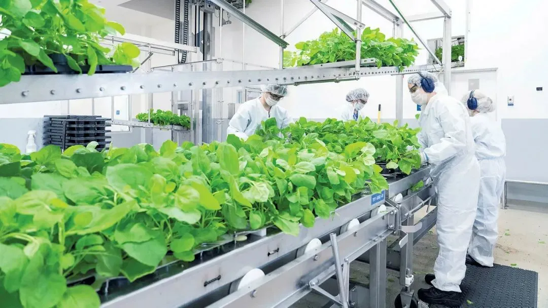 对变种有效率高达88.6%！<a href=