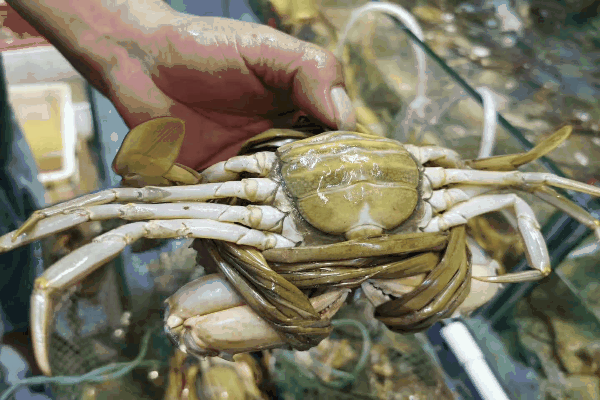 你会因一部电影爱上这座城……休闲区蓝鸢梦想 - Www.slyday.coM 你会因一部电影爱上这座城……休闲区蓝鸢梦想 - Www.slyday.coM