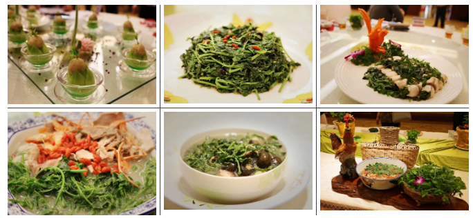 你会因一部电影爱上这座城……休闲区蓝鸢梦想 - Www.slyday.coM 你会因一部电影爱上这座城……休闲区蓝鸢梦想 - Www.slyday.coM