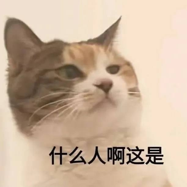 江歌案宣判!刘鑫为何不感恩、不道歉休闲区蓝鸢梦想 - Www.slyday.coM 江歌案宣判!刘鑫为何不感恩、不道歉休闲区蓝鸢梦想 - Www.slyday.coM