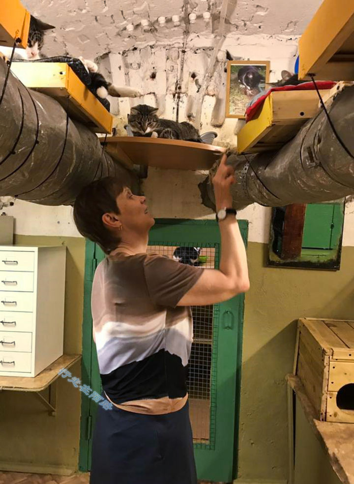 为感谢服役277年的猫咪，<a href=