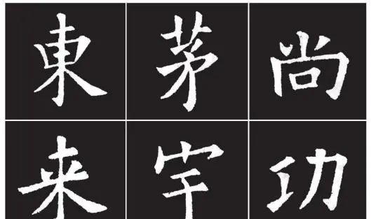 欧冠激战正酣顶级射手争夺金靴宝座