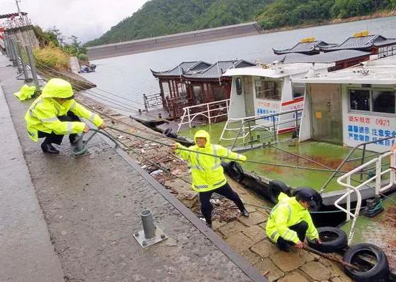 浙江“110”和江苏“119”,领证了!休闲区蓝鸢梦想 - Www.slyday.coM 浙江“110”和江苏“119”,领证了!休闲区蓝鸢梦想 - Www.slyday.coM