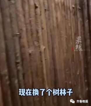 场景过于逼真!天津一男子隔离被安排到“花果山”!评论区入戏了休闲区蓝鸢梦想 - Www.slyday.coM 场景过于逼真!天津一男子隔离被安排到“花果山”!评论区入戏了休闲区蓝鸢梦想 - Www.slyday.coM