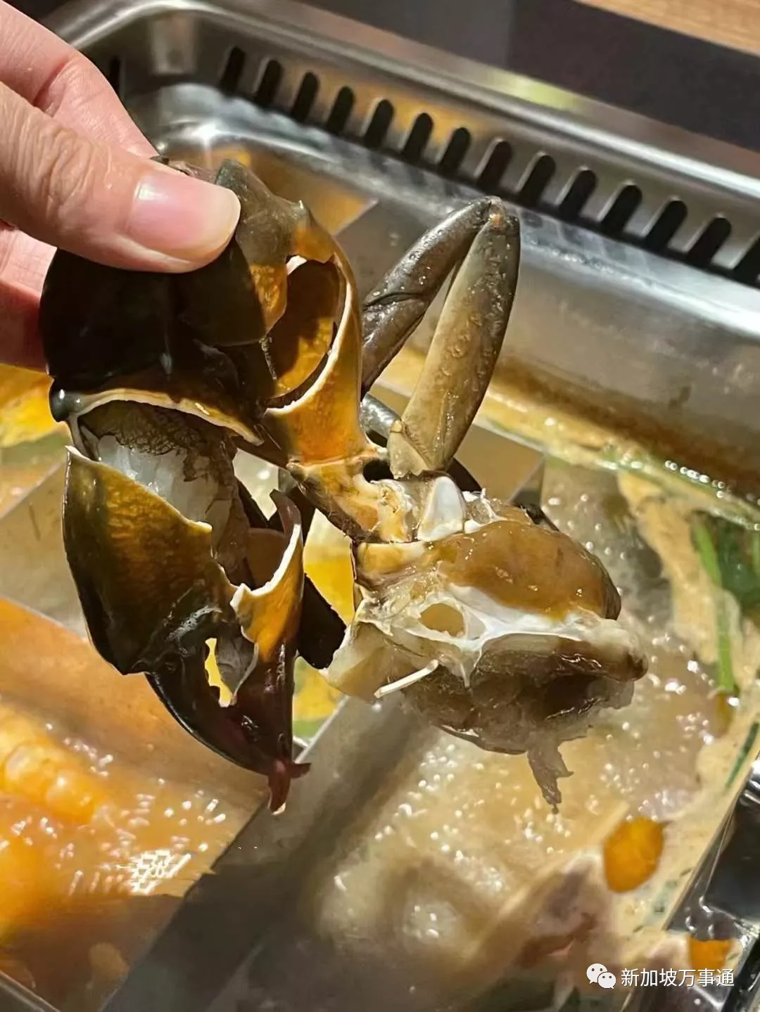 好评无数的云南菌汤火锅席卷<a href=