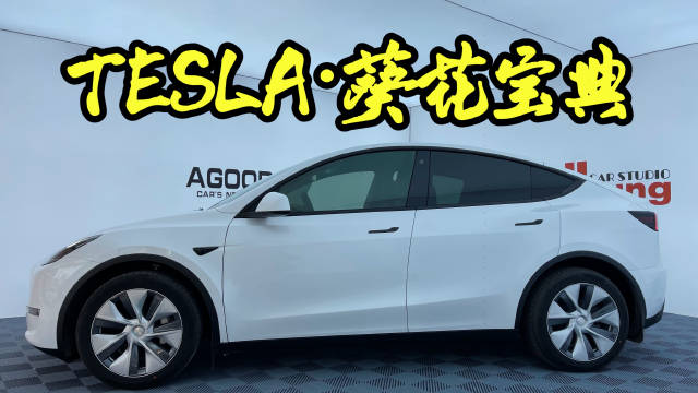 成功N要素 多维解析特斯拉热销秘籍