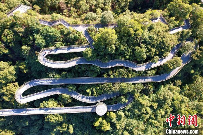 俯瞰福州城市森林步道。 王东明 摄