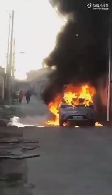 这是比亚迪海豚？