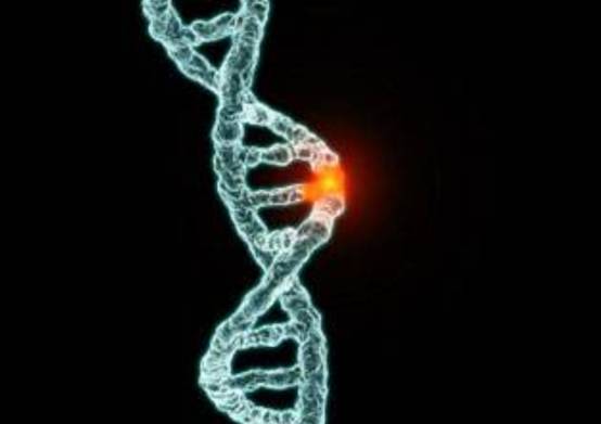 咋回事？<a href=