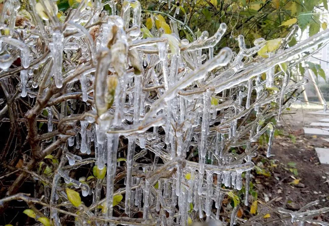 美国湖边沙滩升起神秘“柱子”,人们视为不祥之物,是怎么来的?休闲区蓝鸢梦想 - Www.slyday.coM 美国湖边沙滩升起神秘“柱子”,人们视为不祥之物,是怎么来的?休闲区蓝鸢梦想 - Www.slyday.coM