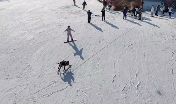 六足,双板,灵活避障!这个来自上海交大的滑雪机器人有点帅休闲区蓝鸢梦想 - Www.slyday.coM 六足,双板,灵活避障!这个来自上海交大的滑雪机器人有点帅休闲区蓝鸢梦想 - Www.slyday.coM