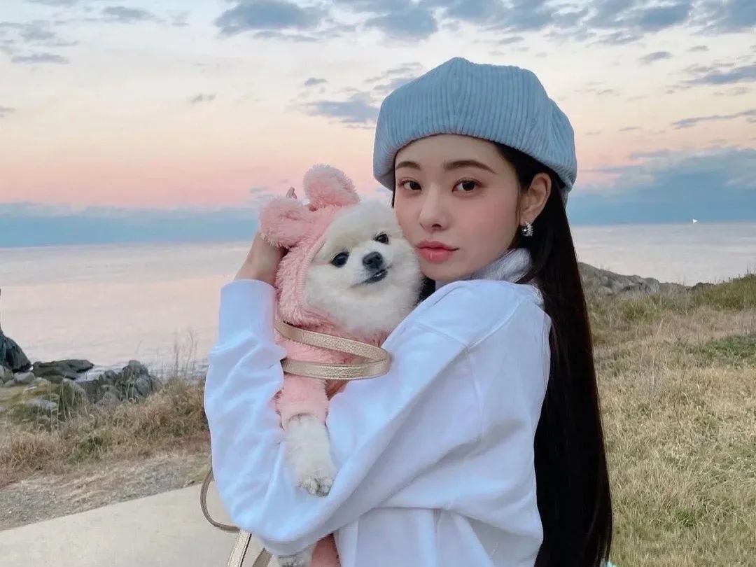 上秒爆火，下秒翻车，<a href=