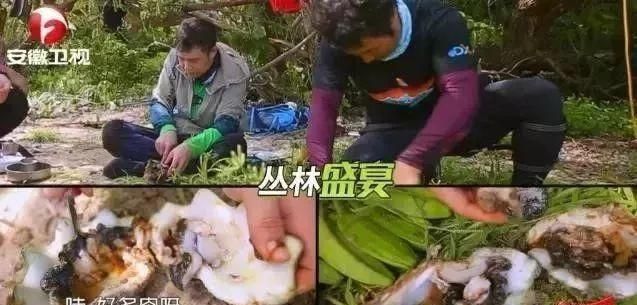 李烈音综艺捕食保护动物，惨当背锅侠，成为<a href=