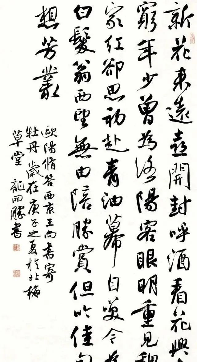意气风发孙晓云的行书成为龙门石窟邀请展中最亮的作品更奔放