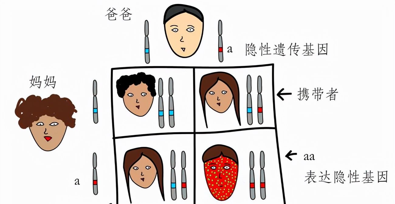 宠物没有伦理道德吗，而且近亲繁殖疾病更多，为什么还...
