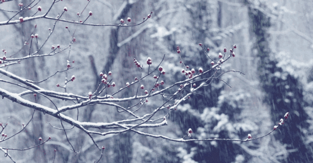 雪雪雪+冷冷冷!今年来最大范围雨雪来了,未来三天河北多地迎降雪休闲区蓝鸢梦想 - Www.slyday.coM 雪雪雪+冷冷冷!今年来最大范围雨雪来了,未来三天河北多地迎降雪休闲区蓝鸢梦想 - Www.slyday.coM