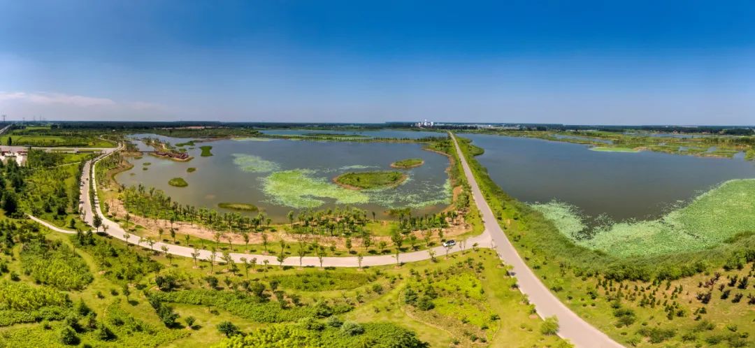 安国湖湿地保护与修复,徐州已建成4个国家级湿地公园,它们化身城市"绿