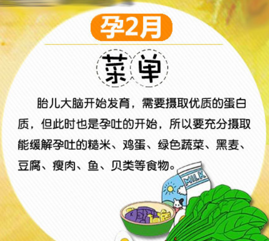 给各位孕妈分享准妈妈的每月健康菜单