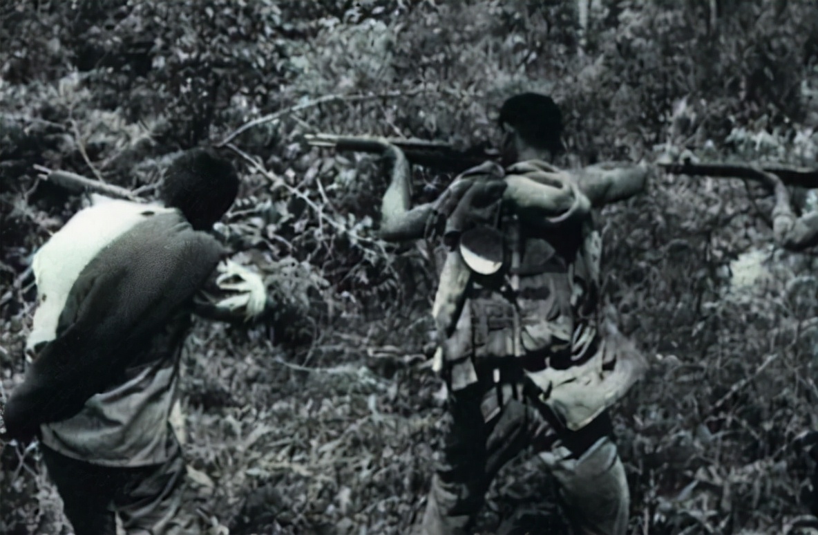 79年中越战争,东线越南十万大军丝毫不弱,为何还被解放军撕裂?