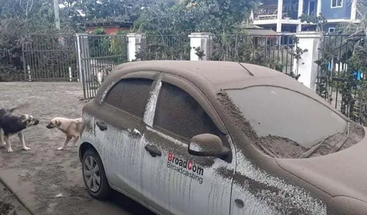 这是近日在汤加首都努库阿洛法拍摄的被火山灰覆盖的汽车。新华社发（马里安摄）