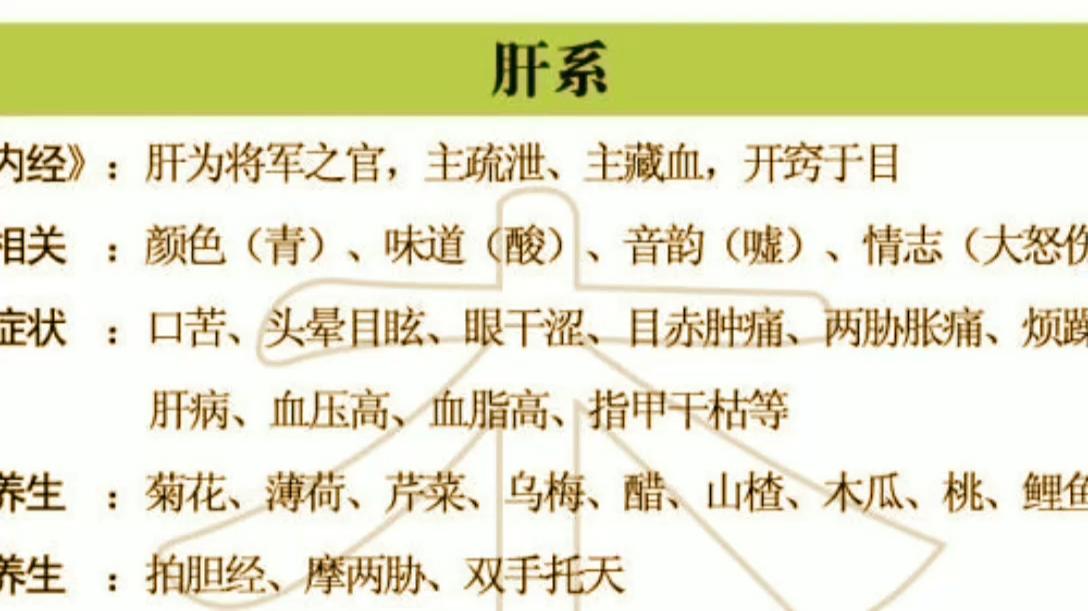 心肝脾肺肾养生图