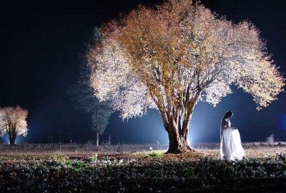 �����,������С��Ů����ҳ��SF������־ƽ����,������Ϊһ����ʦ,߳�彭��