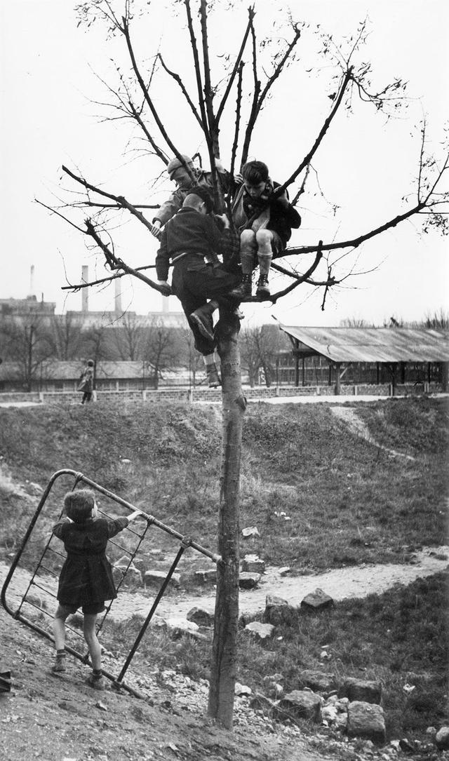 萨宾·韦斯去世:最后的人文主义街头摄影师休闲区蓝鸢梦想 - Www.slyday.coM 萨宾·韦斯去世:最后的人文主义街头摄影师休闲区蓝鸢梦想 - Www.slyday.coM