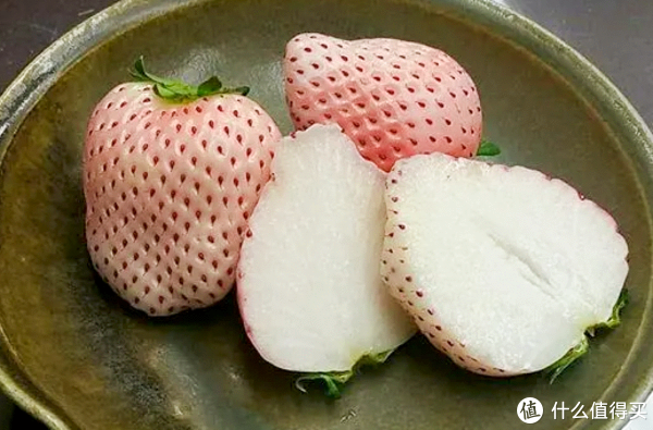 这个冬天身价远超车厘子的金贵水果,到底贵在哪儿?休闲区蓝鸢梦想 - Www.slyday.coM 这个冬天身价远超车厘子的金贵水果,到底贵在哪儿?休闲区蓝鸢梦想 - Www.slyday.coM