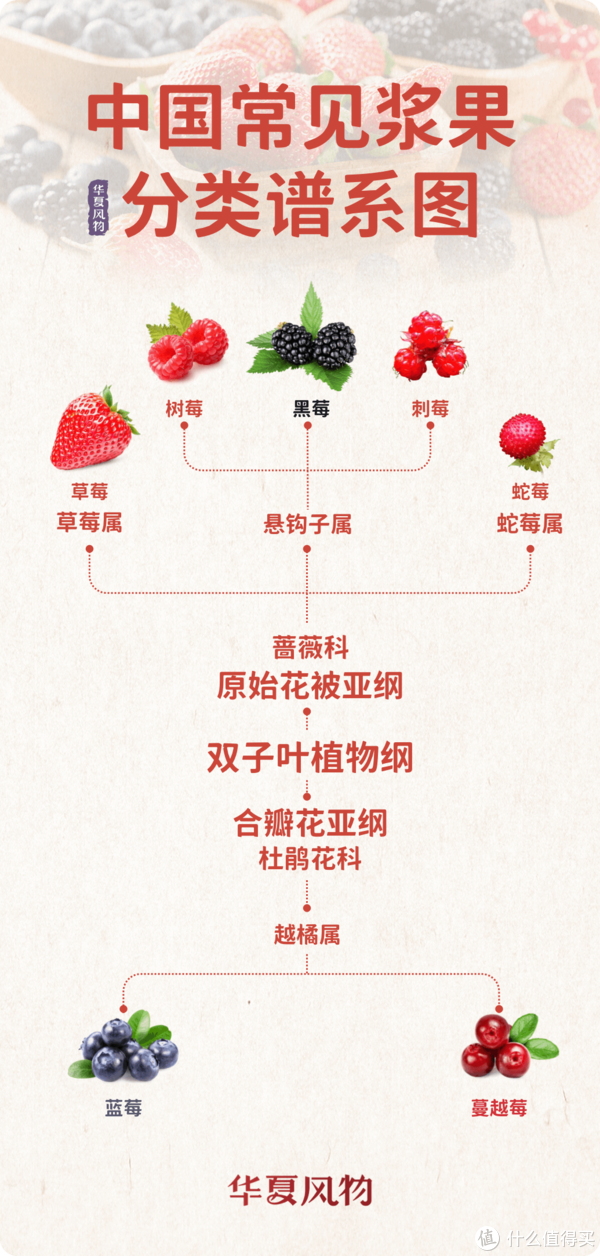 这个冬天身价远超车厘子的金贵水果,到底贵在哪儿?休闲区蓝鸢梦想 - Www.slyday.coM 这个冬天身价远超车厘子的金贵水果,到底贵在哪儿?休闲区蓝鸢梦想 - Www.slyday.coM