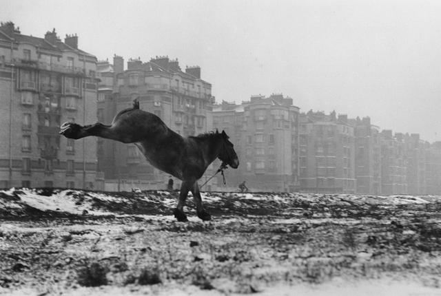 萨宾·韦斯去世:最后的人文主义街头摄影师休闲区蓝鸢梦想 - Www.slyday.coM 萨宾·韦斯去世:最后的人文主义街头摄影师休闲区蓝鸢梦想 - Www.slyday.coM