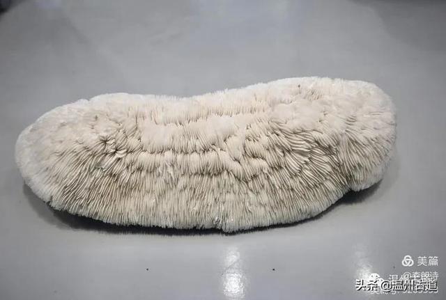 浙江这一隐藏的古村,受联合国表彰却鲜为人知,你去过吗?休闲区蓝鸢梦想 - Www.slyday.coM 浙江这一隐藏的古村,受联合国表彰却鲜为人知,你去过吗?休闲区蓝鸢梦想 - Www.slyday.coM