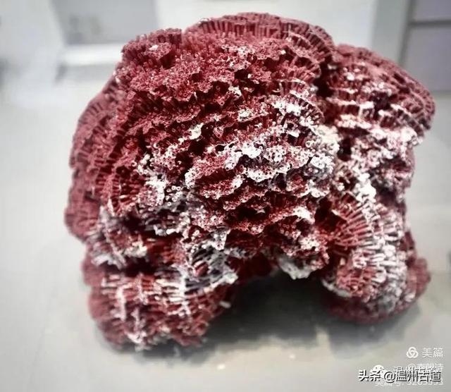 浙江这一隐藏的古村,受联合国表彰却鲜为人知,你去过吗?休闲区蓝鸢梦想 - Www.slyday.coM 浙江这一隐藏的古村,受联合国表彰却鲜为人知,你去过吗?休闲区蓝鸢梦想 - Www.slyday.coM