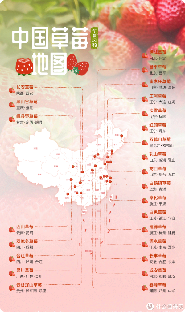 这个冬天身价远超车厘子的金贵水果,到底贵在哪儿?休闲区蓝鸢梦想 - Www.slyday.coM 这个冬天身价远超车厘子的金贵水果,到底贵在哪儿?休闲区蓝鸢梦想 - Www.slyday.coM