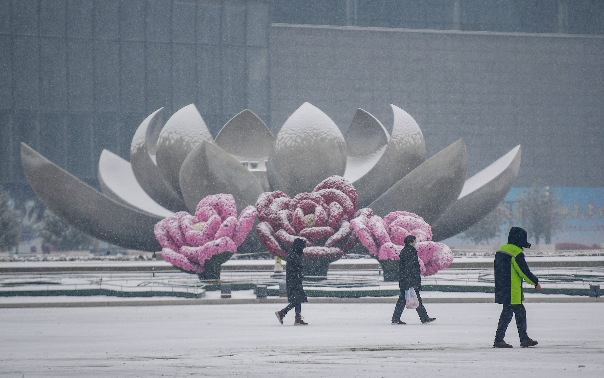 1月22日,山东省济南市,从凌晨开始,全市出现大范围降雪天气。图/IC photo