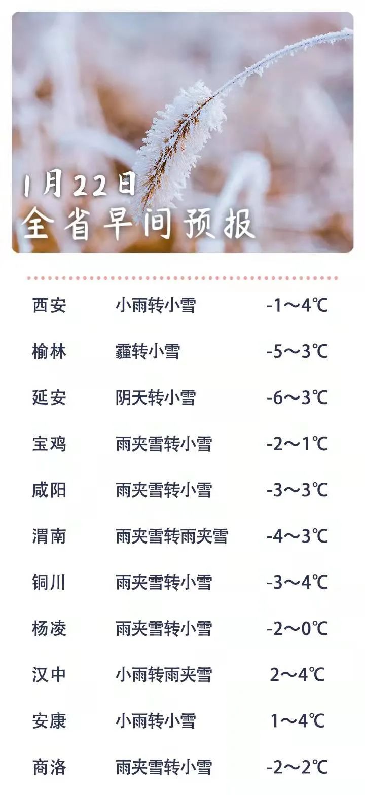 88fd-c4e88b8a9a18169bc1011b57e4ffcd81.jpg
