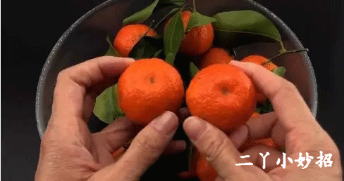 今天才清楚,砂糖橘为什么会带叶子卖!原来有“猫腻”,现在明白还不晚休闲区蓝鸢梦想 - Www.slyday.coM 今天才清楚,砂糖橘为什么会带叶子卖!原来有“猫腻”,现在明白还不晚休闲区蓝鸢梦想 - Www.slyday.coM