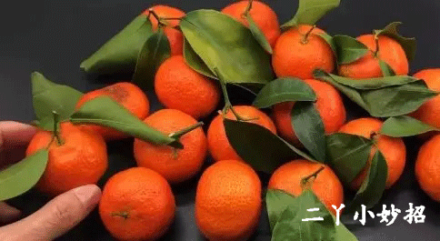 今天才清楚,砂糖橘为什么会带叶子卖!原来有“猫腻”,现在明白还不晚休闲区蓝鸢梦想 - Www.slyday.coM 今天才清楚,砂糖橘为什么会带叶子卖!原来有“猫腻”,现在明白还不晚休闲区蓝鸢梦想 - Www.slyday.coM